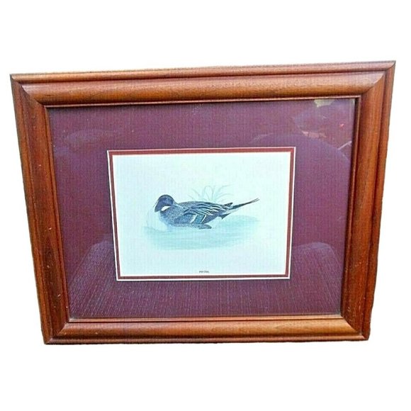 Vintage FIGI Giftware "Pintail" Print of a Duck in the Water Framed and Matted - Picture 2 of 4
